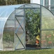 Zahradní skleník z polykarbonátu Trjoska 6 mm - 8 x 3 m