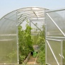 Zahradný skleník z polykarbonátu Covertec Classic PROFI 2 x 3 m